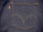 Levis Jeans – attraktive Option, die moderne Designs anbietet